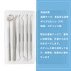 Watles 歯石除去キット 歯石取り スケーラー 歯石取り器具 歯用ツール [一般医療機器]