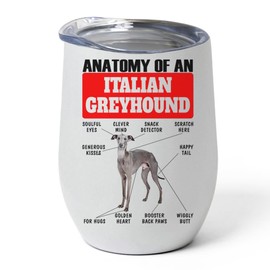 Slate Grey Italian Greyhound Tumbler 12oz - Funny Anatomy Chart Design - Stainless Steel Vacuum Insulated Wine Cup With Lid - Gifts for Dog Lovers