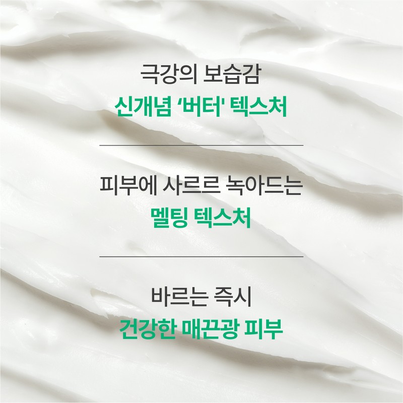 Innisfree [이니스프리]그린티 세라마이드 크림 80ml (튜브) Innisfree Green Tea Ceramide