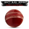 SialPro Soft Cricket Rubber Ball Set Indoor/Outdoor for Junior Youth