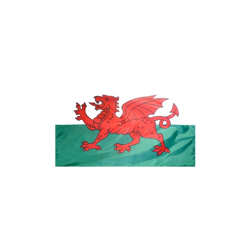Wales Flag Nylon 5 ft. x 8 ft.