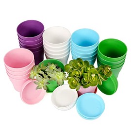 25 Pcs Plastic Planters Indoor Flower Plant Pots, Mini Flower Seedlings Nursery Pot/Planter/Flower Pot with Pallet, Modern Decorative Gardening Containers (Pink / White / Purple / Blue / Green, 25)