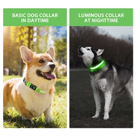 PcEoTllar Light up Dog Collar for Night Walking - LED Dog Collar Light Rechargeable Color Changing, Glow in The Dark Dog Collars Waterproof Glowing Dog Collars for Large Small Medium Dogs