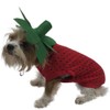 Midlee Strawberry Dog Costume