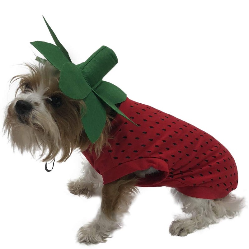 Midlee Strawberry Dog Costume