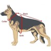 Dogline Vest Harness for Dogs and 2 Removable Adopt Me