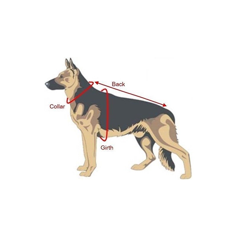 Dogline Vest Harness for Dogs and 2 Removable Adopt Me