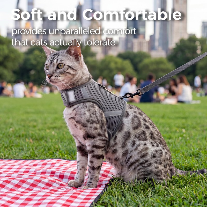 pangdi Cat Harness and Leash Set, No Over-the-Head Cat Vest,