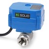 U.S. Solid 1/2" Motorized Ball Valve with US Plug 110VAC