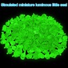 BICHENHWAI 100Pcs Glow in The Dark Mini Seal Figurines Cute