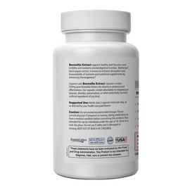 Superior Labs Boswellia Extract - Pure Non GMO Boswellic 65% Acids. Superior Absorption Zero Synthetic Additives - Powerful Formula Joint, Knees, HIPS, Immune, 500mg SVG, 240 Veg Capsules