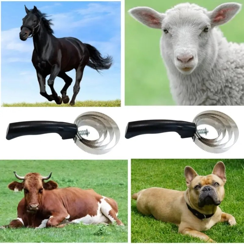 Cepillo De Acero Inoxidable Para Caballos 2 Pzas 4 Anillos