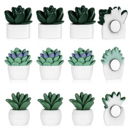 Pack of 12 3D Flowers Cute Fridge Magnets Cactus Magnetic Cute Mini Resin Magnets for the Fridge for Whiteboards, Fridge Magnets, Decorative Locker Magnets