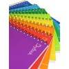 SKY BOOK PROFESIONAL COLORS ESCOLAR 100HJS 8PZ RAYA