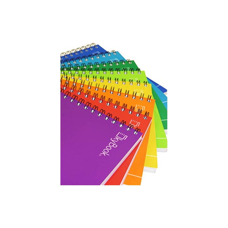 SKY BOOK PROFESIONAL COLORS ESCOLAR 100HJS 8PZ RAYA