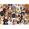 All The Dogs 1000 Piece Jigsaw Puzzle