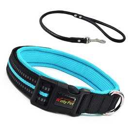 TaimeiMao Dog Collar, Cat Collar with Safety Clasp, Quick Release Cat Collar, Reflective Cat Collar, Adjustable Nylon Cat Collar (L, Blue)