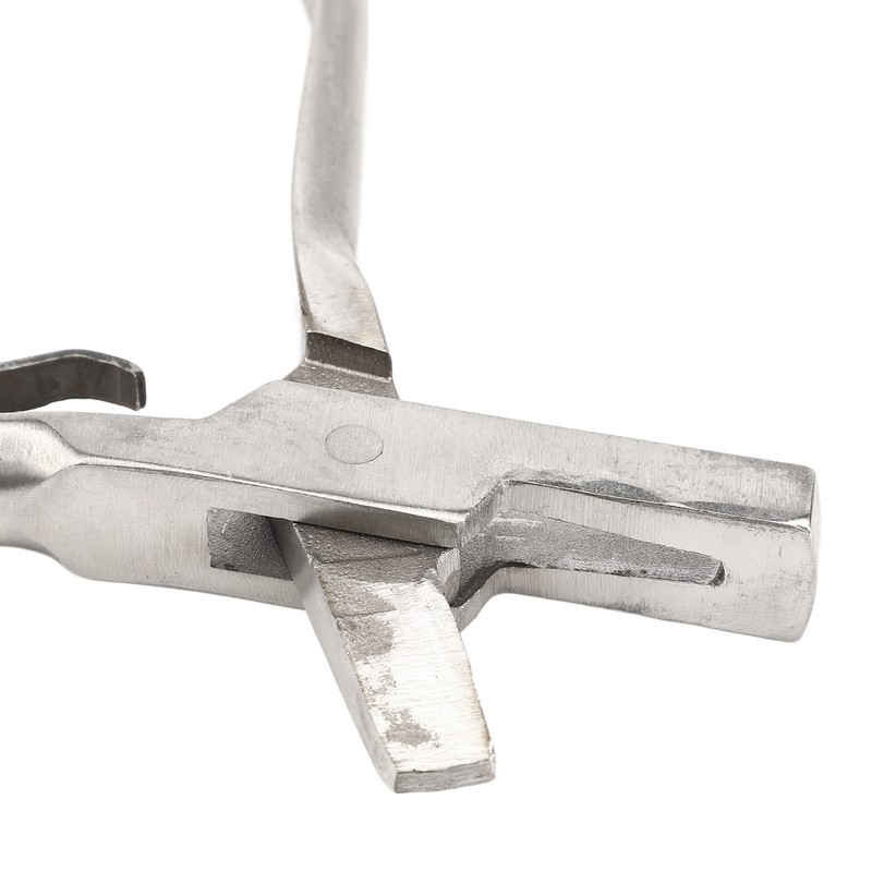 Pig Ear Tag Plier Stainless Steel Animal Ear Notcher with