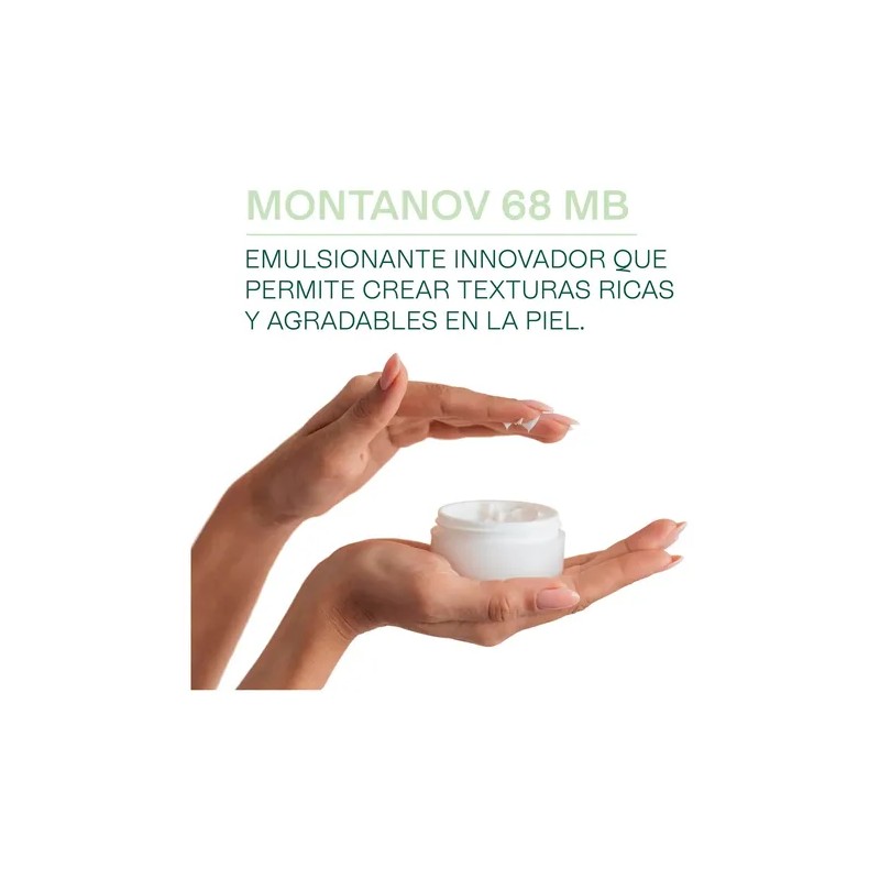 Emulsionante Natural Montanov 68 Ludika 100g para Cremas y Protectores