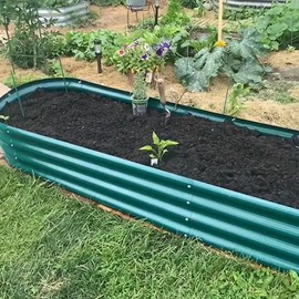 Tramull 2 Pack 12x2x1FT Galvanized Raised Garden Bed Kit Oval Metal Ground Planter Box Outdoor Bottomless Planter Raised Beds for Vegetables Flowers Herbs Fruits, Green