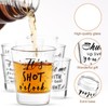 Kolewo4ever 24 Pieces Funny Friends Shot Glasses Funny Friends Shot
