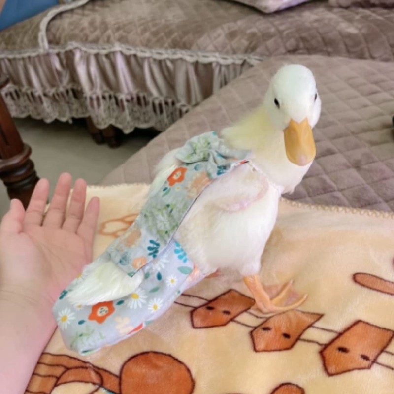 Duck & Goose Diapers - Waterproof, Adjustable, Washable & Reusable