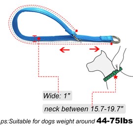 Mycicy Reflective Slip Dog Collar, Loop Dog Collar for 44-75 lbs Dogs Nylon Collars with Soft Padded for Pet Training– Teal 1" W x 22" L (Fits Neck 15.7"-19.7")