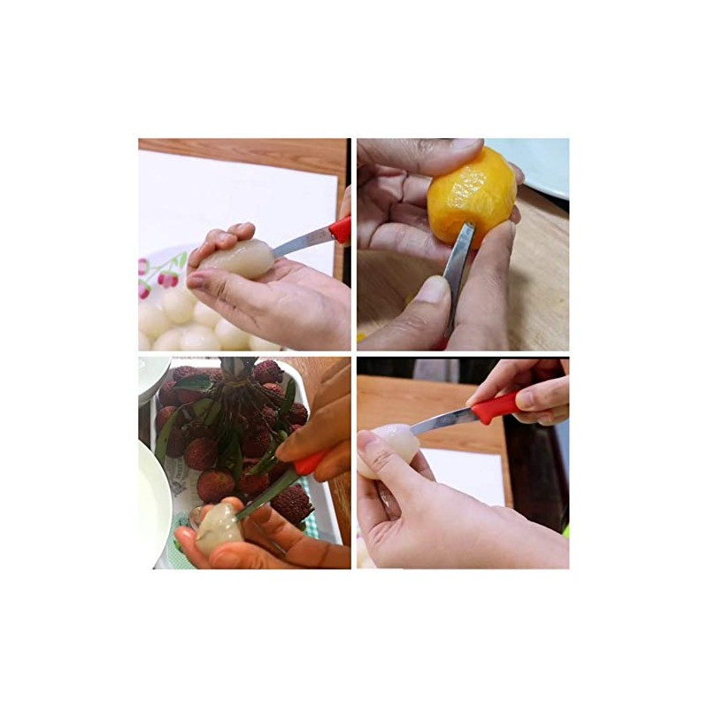 Kiwi Stainless Steel Deseeding Knife and Fruit Carving Knife