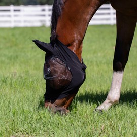 Equinavia Bug Out Fly Mask | Against Flies, Insects, UV Rays - Black - Warmblood