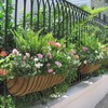 WenYa 2Pcs Hanging Basket Liner, 24 Inch Pre-formed Molded Coco
