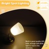 Dream lighting 12 Volt Reading Light for RV Boat Interior