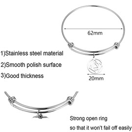 Detailed AA & NA Anonymous Dual Charm Bracelet 12 Steps Recovery Sober Gift(silver bracelet)