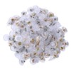Earring Backs, 300PCS Back for Earrings, Earring Stoppers for Fish