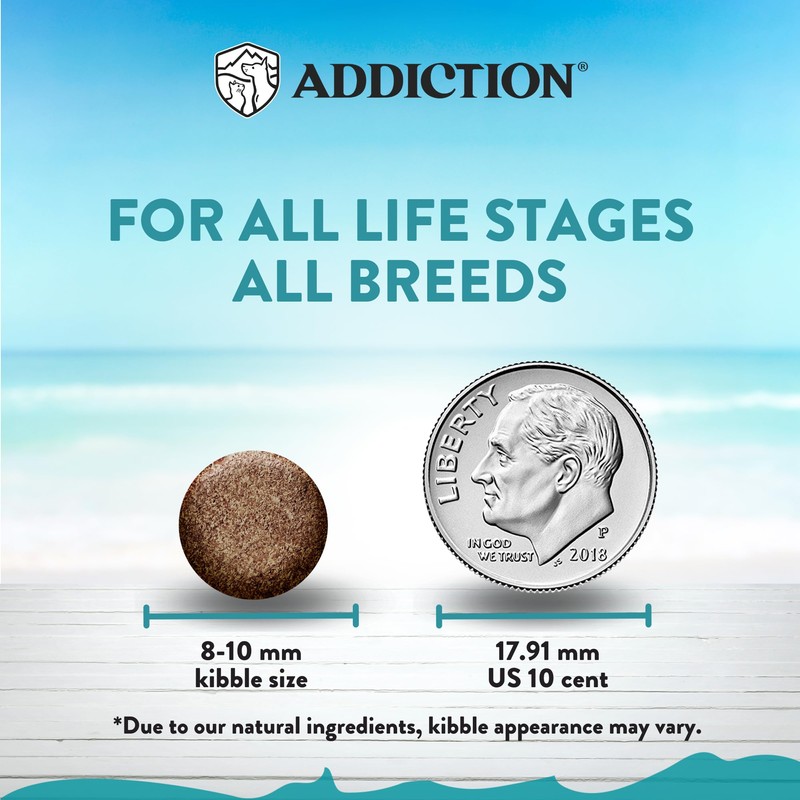 Addiction Salmon Bleu Grain-Free Dry Cat Food – Rich in