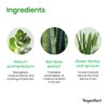 Veganifect. Clean and Glow Sedum Moisture Cream 1.8 oz (50