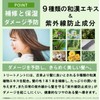 Beauty Salon Exclusive Item [Set] Aroma Shampoo & Treatment (Grapefruit