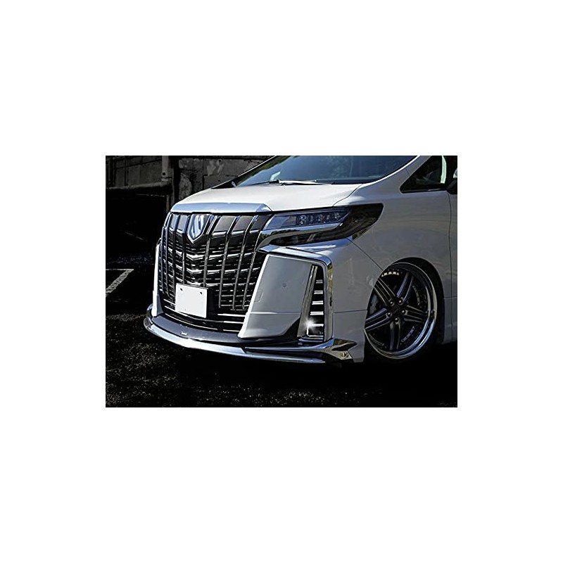 Takelablaze Alphard 30 Series Late Stage Fog Lamp Garnish, 10
