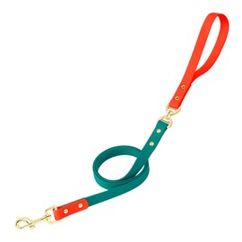 PetBonus No Tangle Waterproof Dog Leash, 5 FT Odor Proof Walking Training Lead, Non-Slip and Easy to Clean Puppy leashes for Small Medium Breeds Dogs (Orange & Turquoise, S