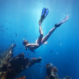 ZEEPORTE Mask Fin Snorkel Set with Adult Snorkeling Gear, Panoramic View Diving Mask, Trek Fin, Dry Top Snorkel +Travel Bags, Snorkel for Lap Swimming