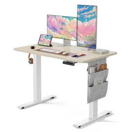 Marsail Electric Adjustable Height Standing Desk with Storage Bag, 40 * 24" Sit Stand Up Desk for Home Office,Computer Gaming Workstation, 4 Memory Height Settings,Cable Manager, and Headphone Hook