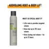 KMS Add Volume Root and Body Lift 200ml - Old