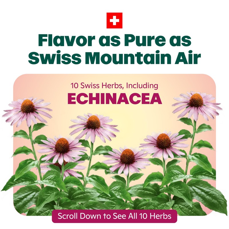 Ricola Honey Lemon Echinacea Cough Drops with Menthol - Minor