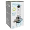 Halogen Bulb