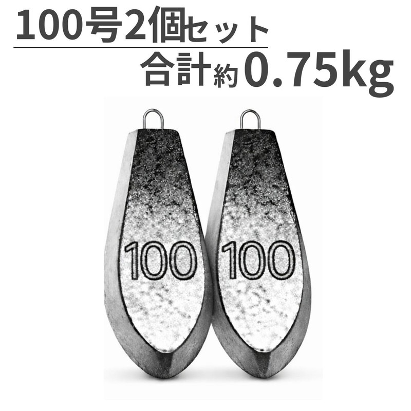 釣り用オモリ シンカー 【100号 2個】 セット (約0.8kg) 六角おもり 釣り 海 川