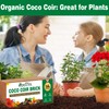 ZeeDix 8 Pack Coco Coir Brick (11.2lbs), 100% Organic Coconut