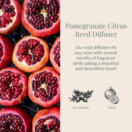 Archipelago Botanicals Pomegranate Citrus Reed Diffuser, Home Fragrance Reed Diffuser, Includes Fragrance Oil, Decorative Wooden Cap & 10 Diffuser Reeds, Perfect for Home, Office or Gift, 7.85 fl oz
