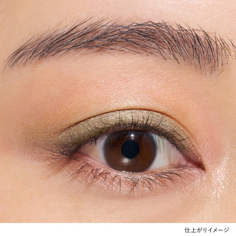 LUNASOL Eye Colouration N EX10 Leafy Shade [Eye Shadow] [Eye