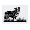 'Border Collie Dog on Grass' Temporary Tattoo - Water Resistant,