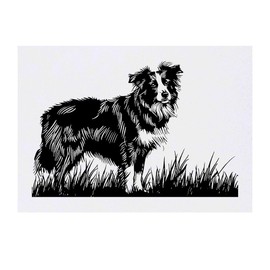 'Border Collie Dog on Grass' Temporary Tattoo - Water Resistant, Skin-Safe, Non-Toxic Transfer (TO00084629)
