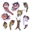 Pazi Wall Sticker Cat Removable Wall Sticker Cat Sticker Cute